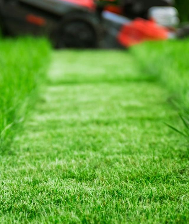 Prompt Professional Lawn Mowing Services In Kendallville IN